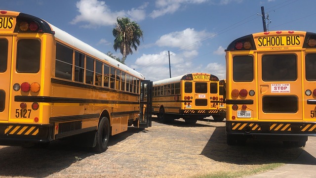 školní autobusy