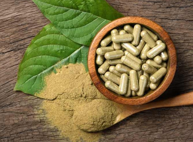 obrázek kratomu